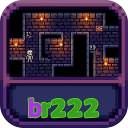 br222