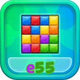 e55